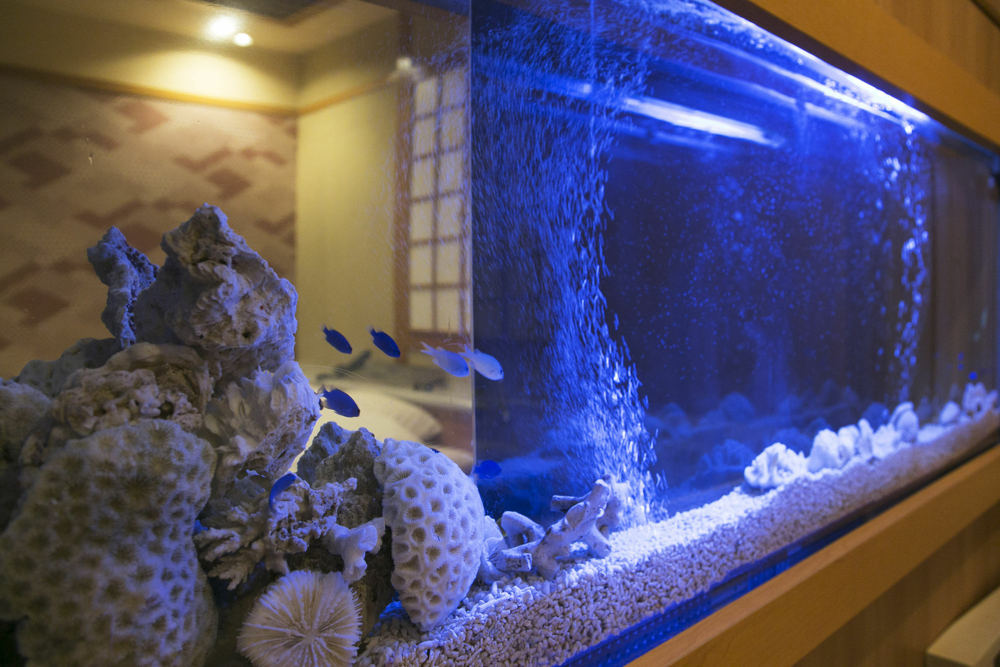 Hotel Atlantis Higashi Osaka (Adults Only) Esterno foto